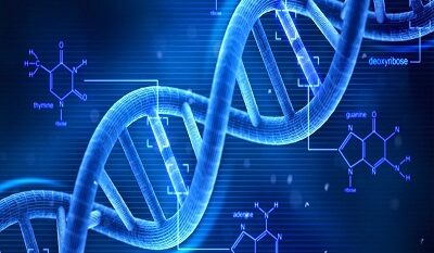 DNA_400x300