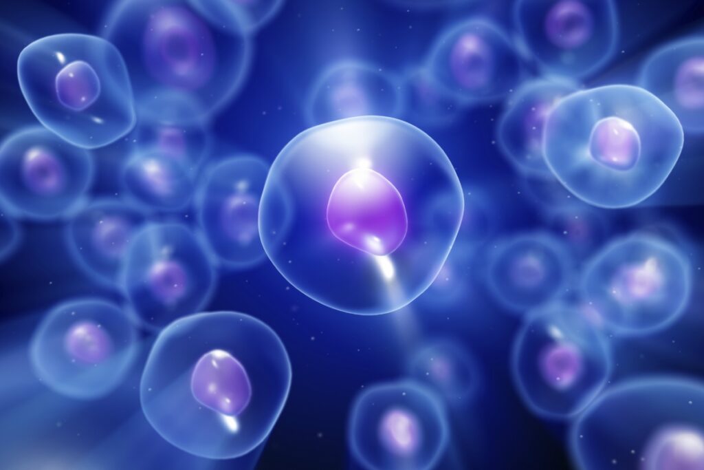 Are our cells or our bodies programmed to die?