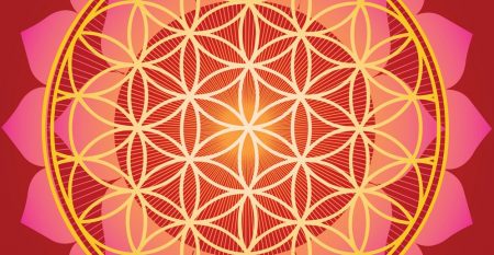 sacred-geometry-flower-of-life-mandala-vector-1022568